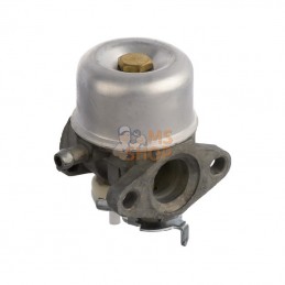 799870; BRIGGS & STRATTON; Carburateur; pièce detachée