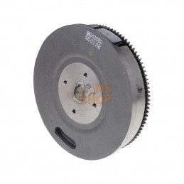 841050WM; BRIGGS & STRATTON; Volant; pièce detachée