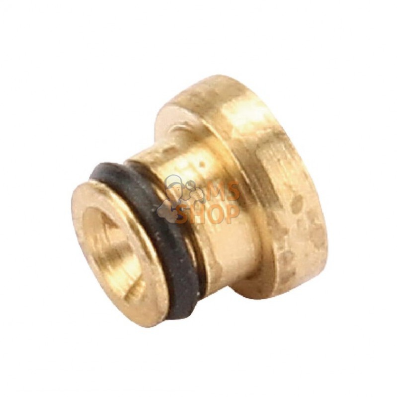 843099; BRIGGS & STRATTON; Buse principale; pièce detachée