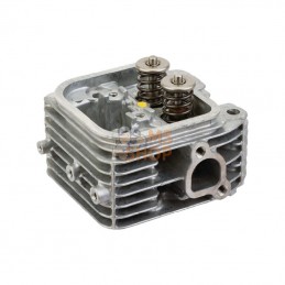 809200WM; BRIGGS & STRATTON; Culasse; pièce detachée