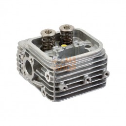 809200WM; BRIGGS & STRATTON; Culasse; pièce detachée