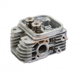 809200WM; BRIGGS & STRATTON; Culasse; pièce detachée