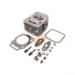 809201; BRIGGS & STRATTON; Culasse; pièce detachée