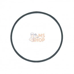 844908; BRIGGS & STRATTON; Joint de cuve à flotteur; pièce detachée