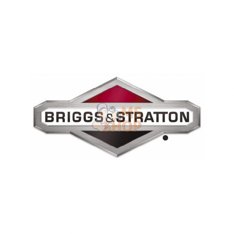885066YP; BRIGGS & STRATTON; Demi extension deflecteur; pièce detachée