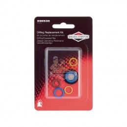 992535; BRIGGS & STRATTON; Kit de joints de remplacement; pièce detachée