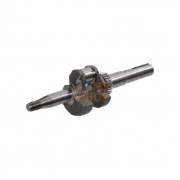 797017; BRIGGS & STRATTON; Vilebrequin 25mm x 80mm; pièce detachée