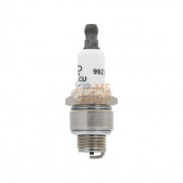 992359C; BRIGGS & STRATTON; Blister bougie BS-SV (x1); pièce detachée