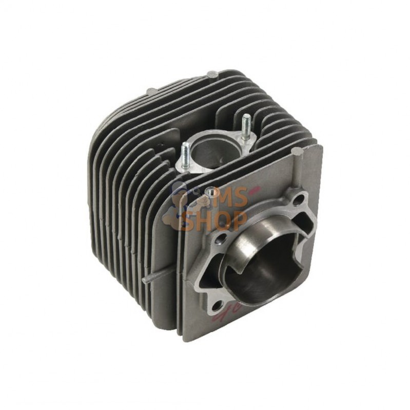 794850; BRIGGS & STRATTON; Cylindre; pièce detachée