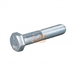 5025017X20SM; BRIGGS & STRATTON; Vis, 1/2-13 x 2-1/2 pouces; pièce detachée