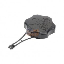 84004416; BRIGGS & STRATTON; Bouchon de réservoir; pièce detachée