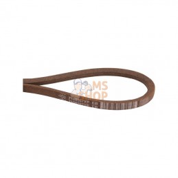 7106207YP; BRIGGS & STRATTON; Courroie trapéz., entr. hydro; pièce detachée