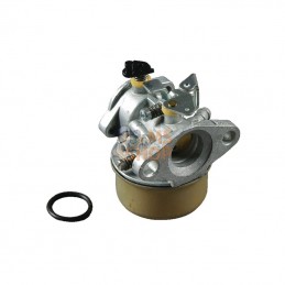 492499; BRIGGS & STRATTON; Carburateur; pièce detachée