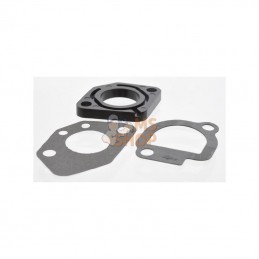 491586; BRIGGS & STRATTON; Buse d'injection; pièce detachée