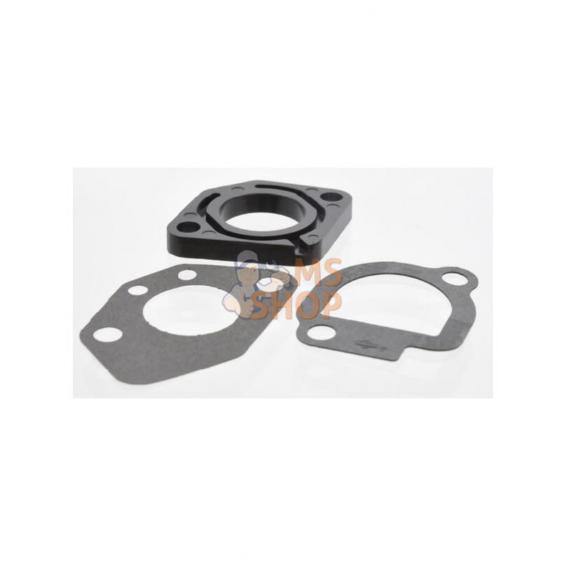 491586; BRIGGS & STRATTON; Buse d'injection; pièce detachée