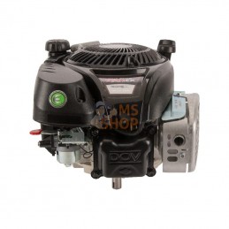 1008020148H8YY7001; BRIGGS & STRATTON; Moteur vertical, 5,0 HP, monocylindre, série 750 EX, Briggs & Stratton; pièce detachée