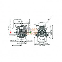 375065973VD; BERTOLINI; Pompe PBO 1100-VD Bertolini; pièce detachée