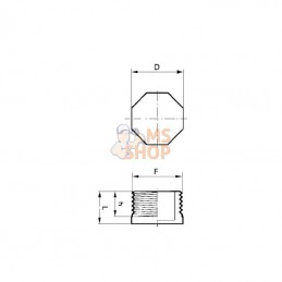 PLUG075; BANJO; Bouchon 3/4" NPT PP; pièce detachée