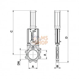 LVB150P; BATTIONI PAGANI; Vanne 6" pneu. BP LOCKER BiDi; pièce detachée