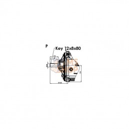 KPSB550PRA100; BATTIONI PAGANI; Poulie de pompe à vide 15270 l/min avec lubrification automatique et Ballast B.P.; pièce detaché