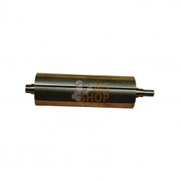 4010220218; BATTIONI PAGANI; Rotor MEC 5000 D, clé de 10 mm; pièce detachée