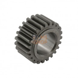 AME33; BATTIONI PAGANI; Pignon 23 dents avec rainure 6 mm, B.P.; pièce detachée