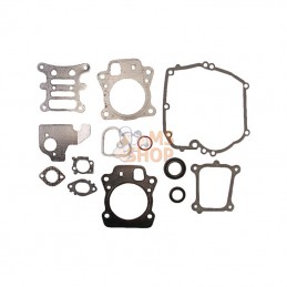 592173; BRIGGS & STRATTON; Gasket set-engine; pièce detachée