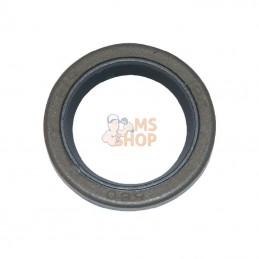 299819S; BRIGGS & STRATTON; Joint à lèvre; pièce detachée