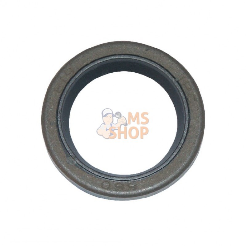299819S; BRIGGS & STRATTON; Joint à lèvre; pièce detachée