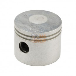 1188017930; CASTELGARDEN; Piston SBK45D; pièce detachée