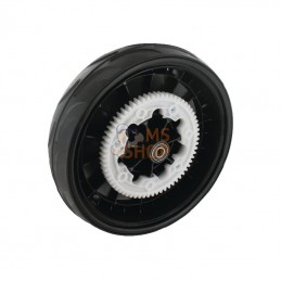 3810073981; CASTELGARDEN; Roue Ø=300 mm; pièce detachée