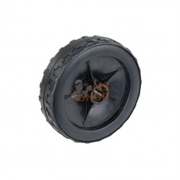 3810073510; CASTELGARDEN; Roue 170mm; pièce detachée
