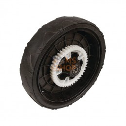3810074671; CASTELGARDEN; Roue Ø=240 mm; pièce detachée
