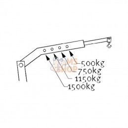 CC15P; COMPAC; Grue d'atelier 1500kg; pièce detachée