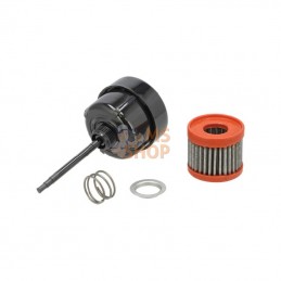 3145873R92GV; CNH; Filtre; pièce detachée