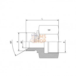 VRB08RVS; DICSA; Adaptateur M/W 1/2 BSP ac inox; pièce detachée