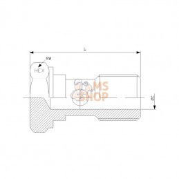 HBB04RVS; DICSA; Boulon banjo 1/4 V4A; pièce detachée