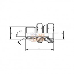 VNBW0812RVS; DICSA; Adaptateur M/W 1/2x3/4BSP inox; pièce detachée