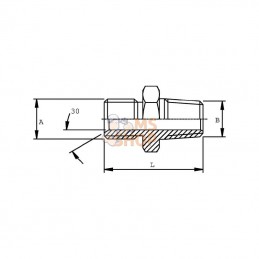 VNBN1216RVS; DICSA; Adaptateur M 3/4BSPx1NPT inox; pièce detachée