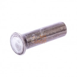 3231981; ESM; Rivet tête fraisée 6x22 ESM; pièce detachée
