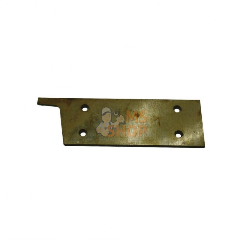 3212790; ESM; Plaque de sabot Busatis; pièce detachée