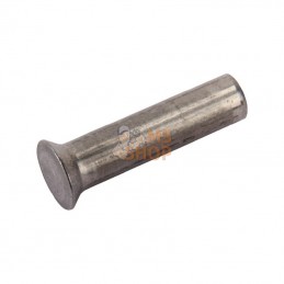 3231901; ESM; Rivet tête fraisée 6x25 ESM; pièce detachée
