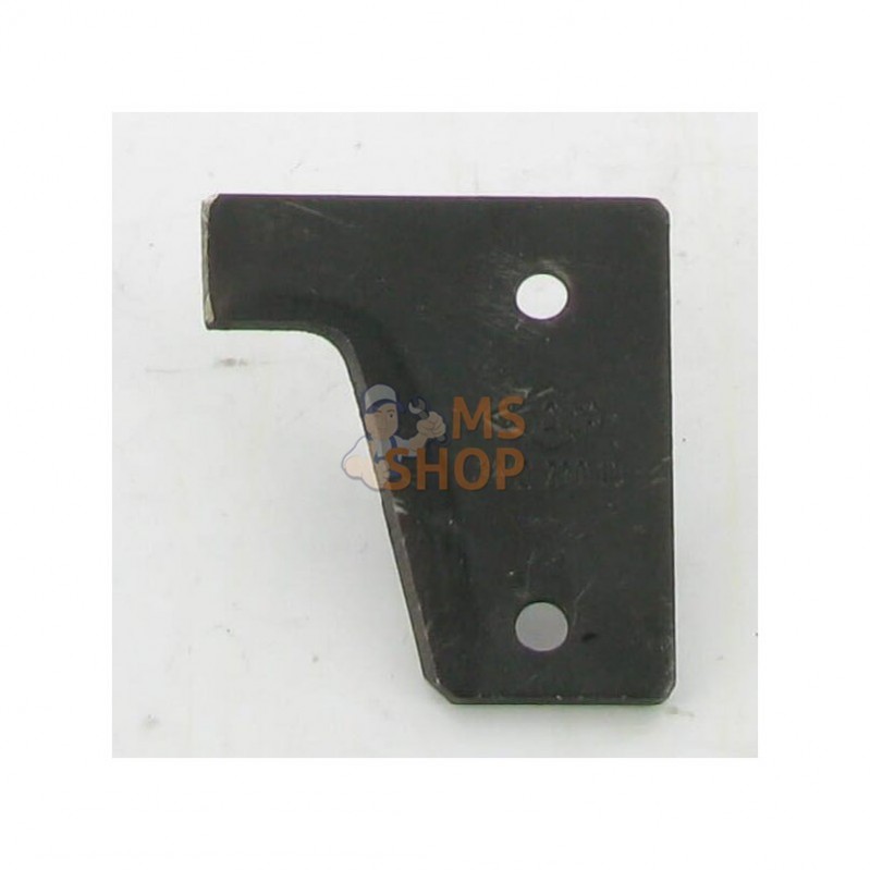 3212500; ESM; Plaque de sabot Busatis; pièce detachée