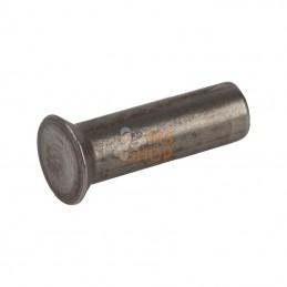 3231851; ESM; Rivet à tête fraisée 6x20 ESM; pièce detachée