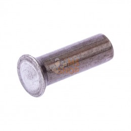 3232001; ESM; Rivet 0,5kg Busatis Busatis; pièce detachée