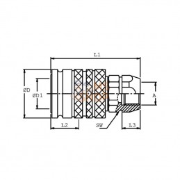 SKPF10D16; DNP; Coupleur femelle 3/8-M16x1,5; pièce detachée