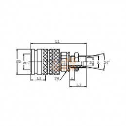 SKPF16N26; DNP; Coupleur femelle 3/4-M26x1,5; pièce detachée