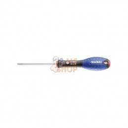 E165476; EXPERT; Tournevis fente 5,5x125; pièce detachée