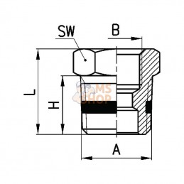 S25303814; CAMOZZI; Réducteur; pièce detachée