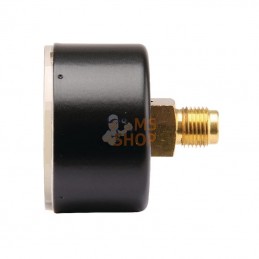MA406B02ST; ET; Manomètre Ø40 0-6bar ⅛" ar.; pièce detachée